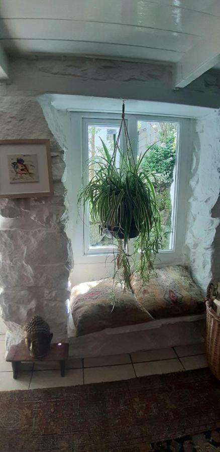 Cozy Carbence Cottage Carbis Bay エクステリア 写真
